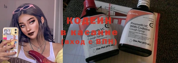 хмурый Козловка