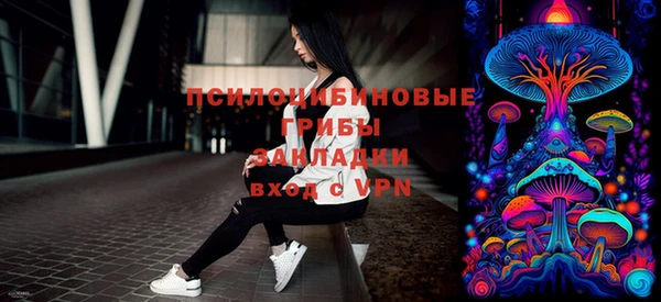 хмурый Козловка