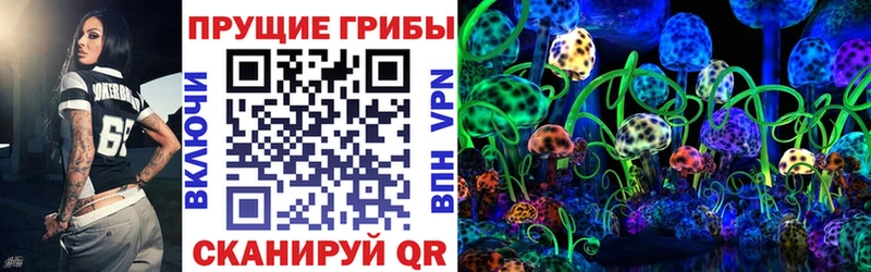 Купить где  Баксан  Галлюциногенные грибы мицелий 